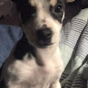 Meet your Posher, Nathaniel